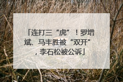 连打三“虎”！罗增斌、马丰胜被“双开”，李石松被公诉