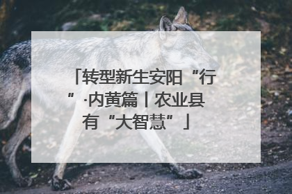 转型新生安阳“行”·内黄篇丨农业县有“大智慧”