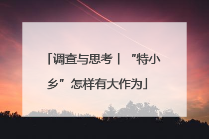 调查与思考丨“特小乡”怎样有大作为