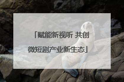 赋能新视听 共创微短剧产业新生态