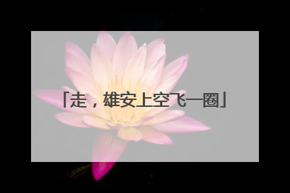 走，雄安上空飞一圈