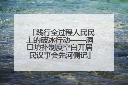 践行全过程人民民主的破冰行动——洞口填补制度空白开居民议事会先河侧记