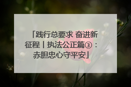 践行总要求 奋进新征程丨执法公正篇③：赤胆忠心守平安