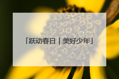 跃动春日｜美好少年