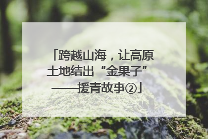跨越山海，让高原土地结出“金果子”——援青故事②