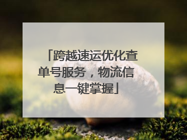 跨越速运优化查单号服务，物流信息一键掌握