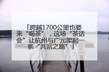 跨越1700公里也要来“喝茶”，这场“茶话会”让杭州与广元架起一条“共富之路”