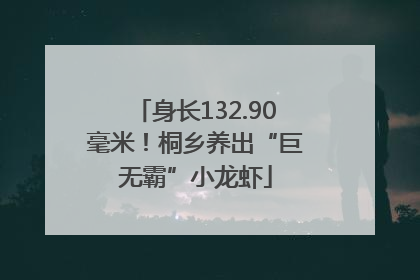 身长132.90毫米！桐乡养出“巨无霸”小龙虾