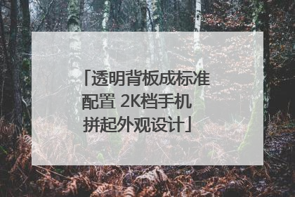 透明背板成标准配置 2K档手机拼起外观设计