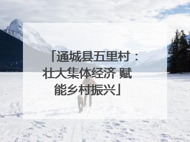 通城县五里村：壮大集体经济 赋能乡村振兴