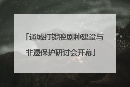 通城打锣腔剧种建设与非遗保护研讨会开幕