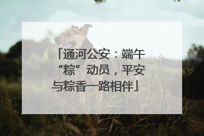 通河公安：端午“粽”动员，平安与粽香一路相伴
