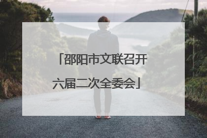 邵阳市文联召开六届二次全委会