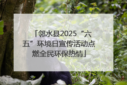 邻水县2025“六五”环境日宣传活动点燃全民环保热情