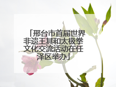 邢台市首届世界非遗王其和太极拳文化交流活动在任泽区举办