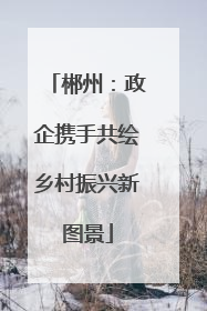 郴州：政企携手共绘乡村振兴新图景