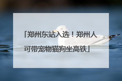 郑州东站入选！郑州人可带宠物猫狗坐高铁