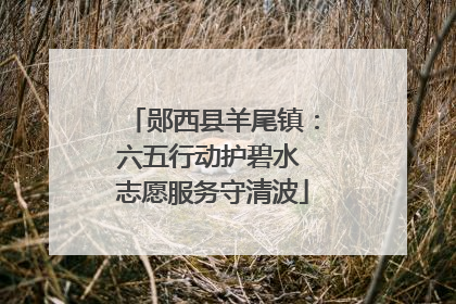 郧西县羊尾镇：六五行动护碧水 志愿服务守清波