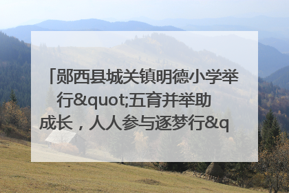 郧西县城关镇明德小学举行"五育并举助成长，人人参与逐梦行"庆六一活动