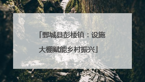 鄄城县彭楼镇：设施大棚赋能乡村振兴