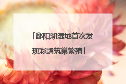 鄱阳湖湿地首次发现彩鹮筑巢繁殖
