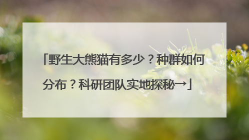 野生大熊猫有多少？种群如何分布？科研团队实地探秘→