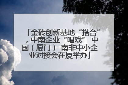 金砖创新基地“搭台”，中南企业“唱戏” 中国（厦门）-南非中小企业对接会在厦举办