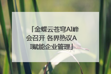 金蝶云苍穹AI峰会召开 各界热议AI赋能企业管理