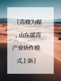 青稞为媒，山东援青产业协作模式上新