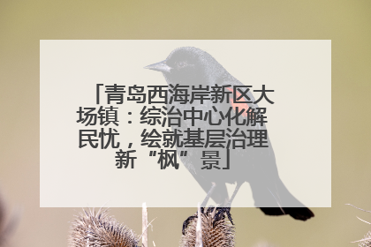 青岛西海岸新区大场镇：综治中心化解民忧，绘就基层治理新“枫”景