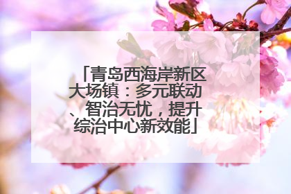 青岛西海岸新区大场镇：多元联动、智治无忧，提升综治中心新效能