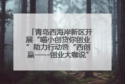 青岛西海岸新区开展“喵小创贷你创业”助力行动暨“西创赢——创业大咖说”主题活动