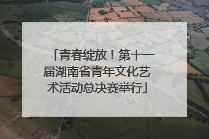 青春绽放！第十一届湖南省青年文化艺术活动总决赛举行