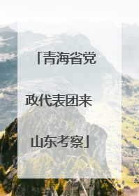 青海省党政代表团来山东考察