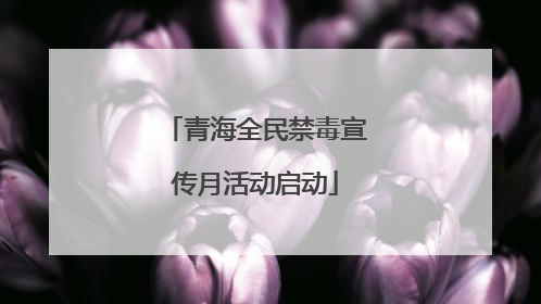 青海全民禁毒宣传月活动启动