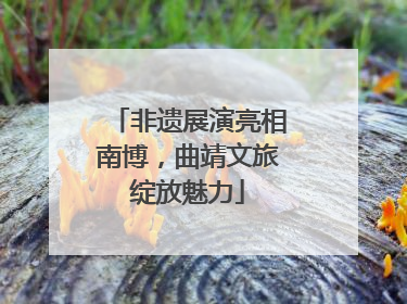 非遗展演亮相南博，曲靖文旅绽放魅力