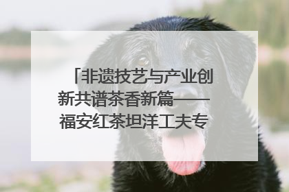非遗技艺与产业创新共谱茶香新篇——福安红茶坦洋工夫专场推介会在京举办