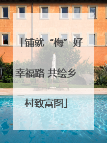 铺就“梅”好幸福路 共绘乡村致富图