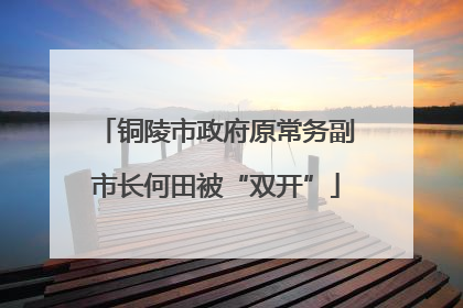 铜陵市政府原常务副市长何田被“双开”
