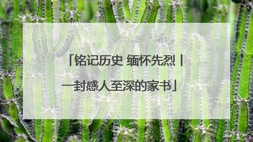 铭记历史 缅怀先烈丨一封感人至深的家书