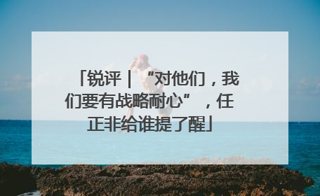 锐评｜“对他们，我们要有战略耐心”，任正非给谁提了醒