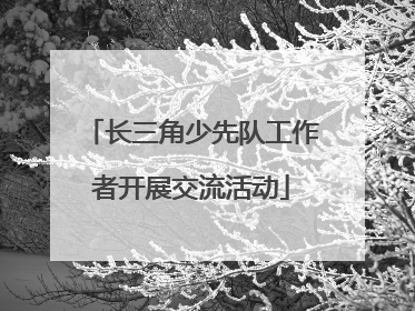 长三角少先队工作者开展交流活动