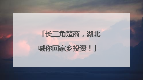 长三角楚商，湖北喊你回家乡投资！
