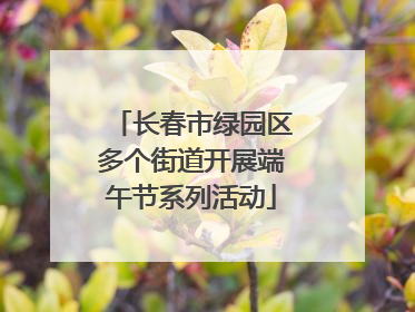长春市绿园区多个街道开展端午节系列活动