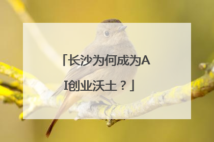 长沙为何成为AI创业沃土？