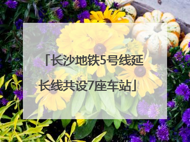 长沙地铁5号线延长线共设7座车站