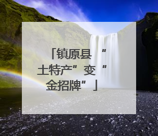 镇原县 “土特产”变“金招牌”