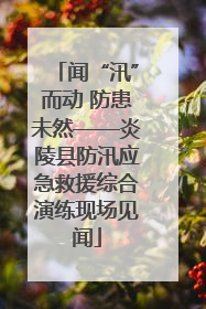 闻“汛”而动 防患未然——炎陵县防汛应急救援综合演练现场见闻