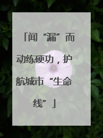 闻“漏”而动练硬功，护航城市“生命线”