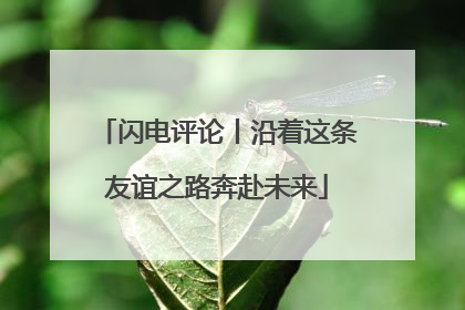 闪电评论丨沿着这条友谊之路奔赴未来